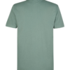 Petrol Regular Polo | Oil green